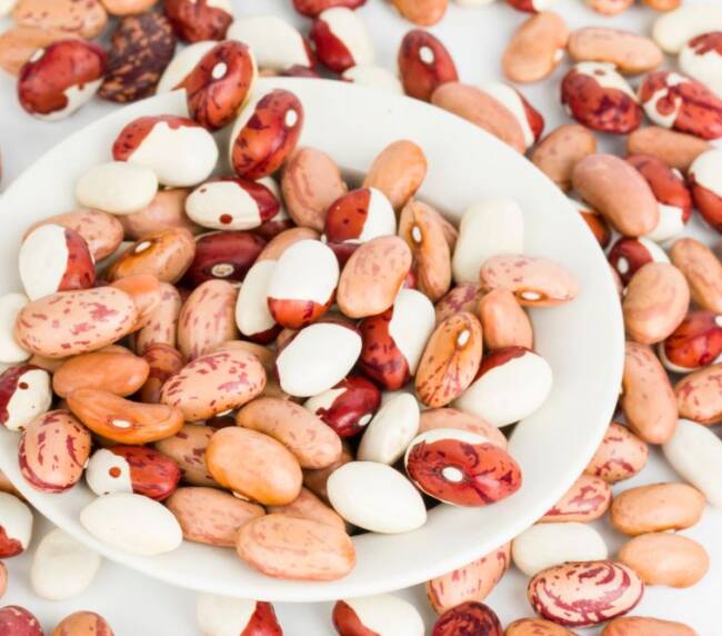 lectin rich foods beans