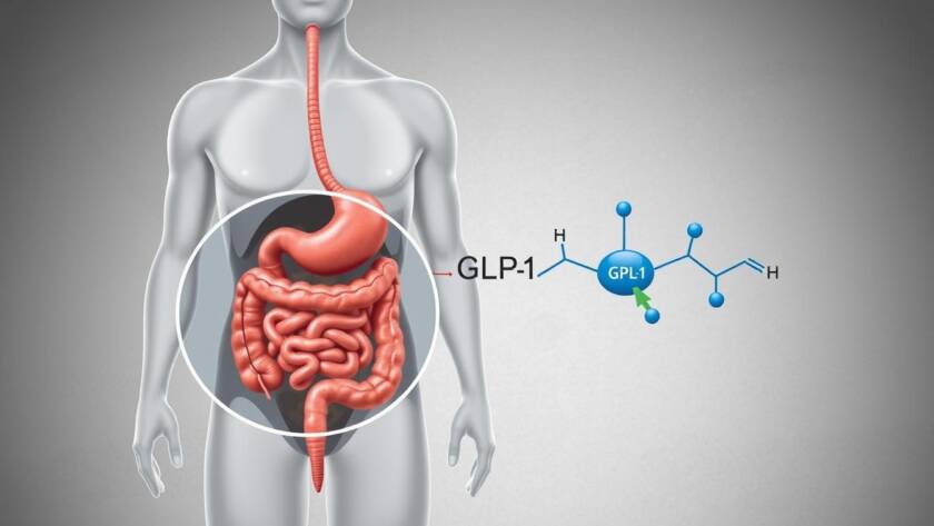Ozempic weight loss mechanism