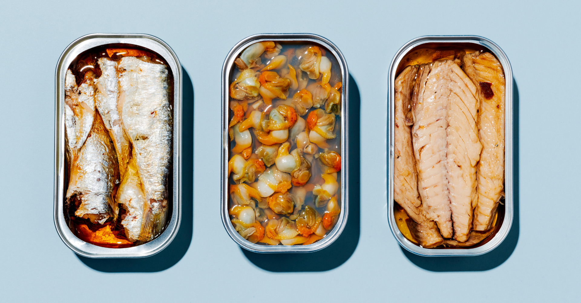 assorted tinned fish sardines mackerl pulpo